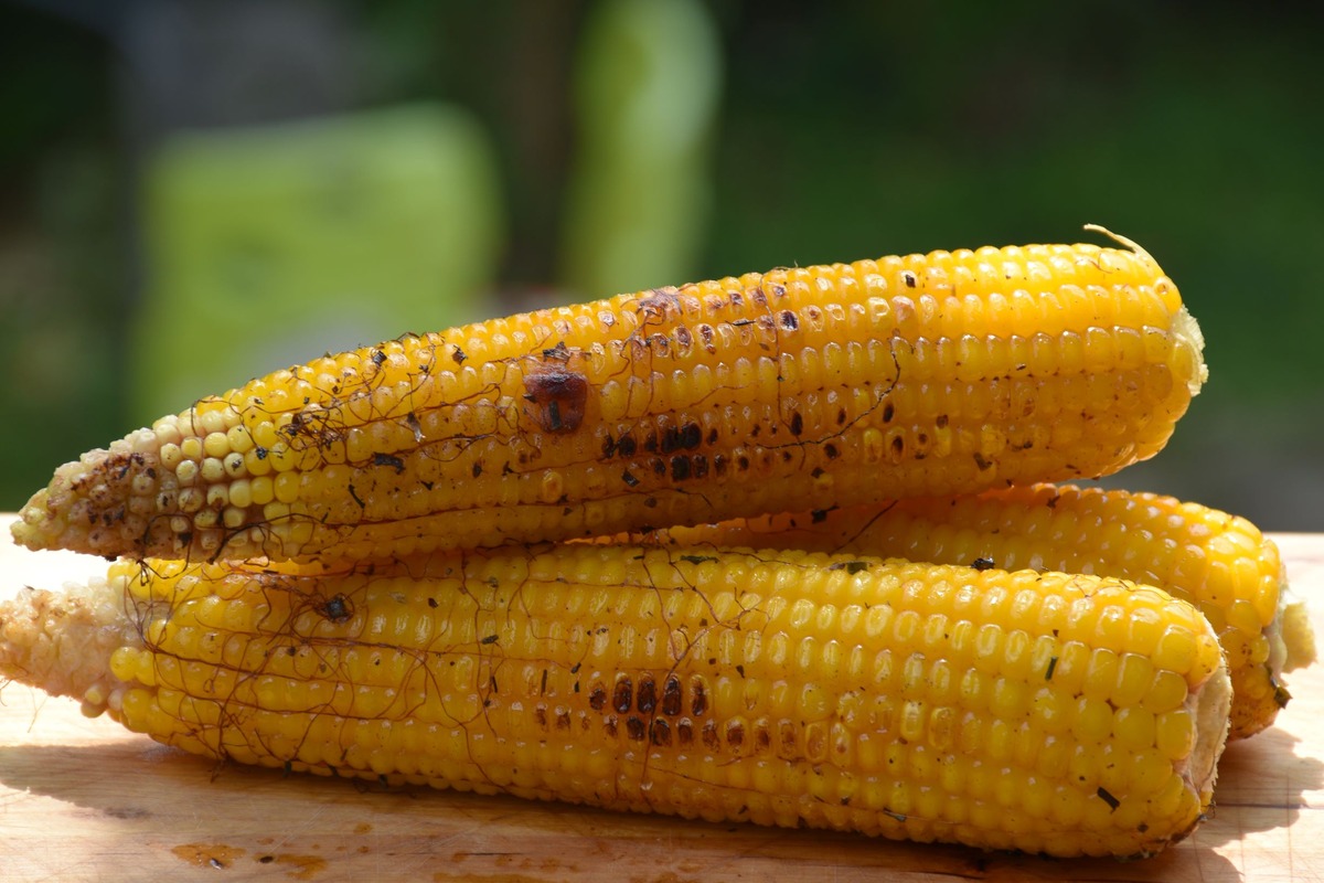 how-to-grill-frozen-corn-on-the-stove