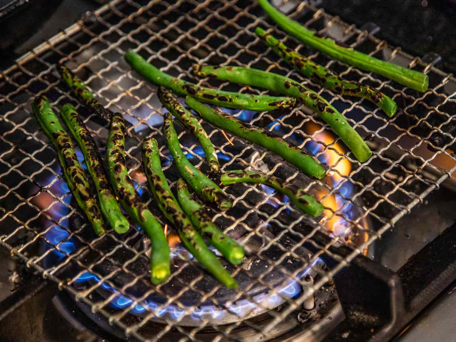 how-to-grill-green-chillies-with-a-propane-grill