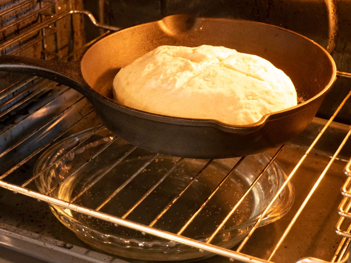 How To Grill In The Oven Oil Free