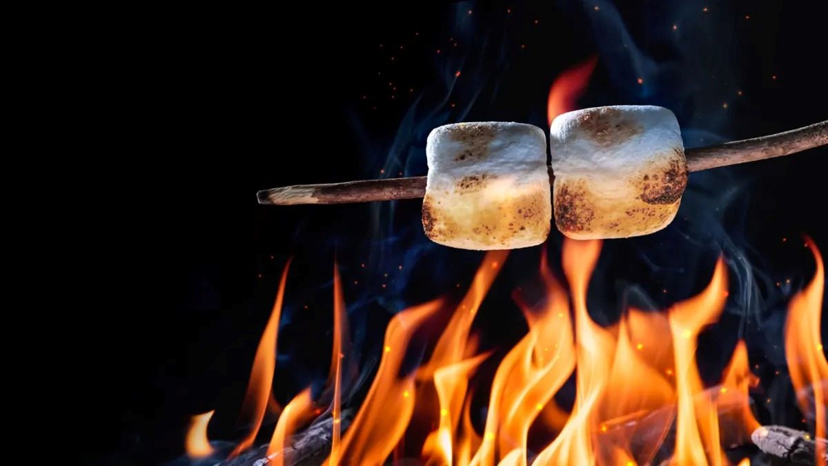 how-to-grill-marshmallows