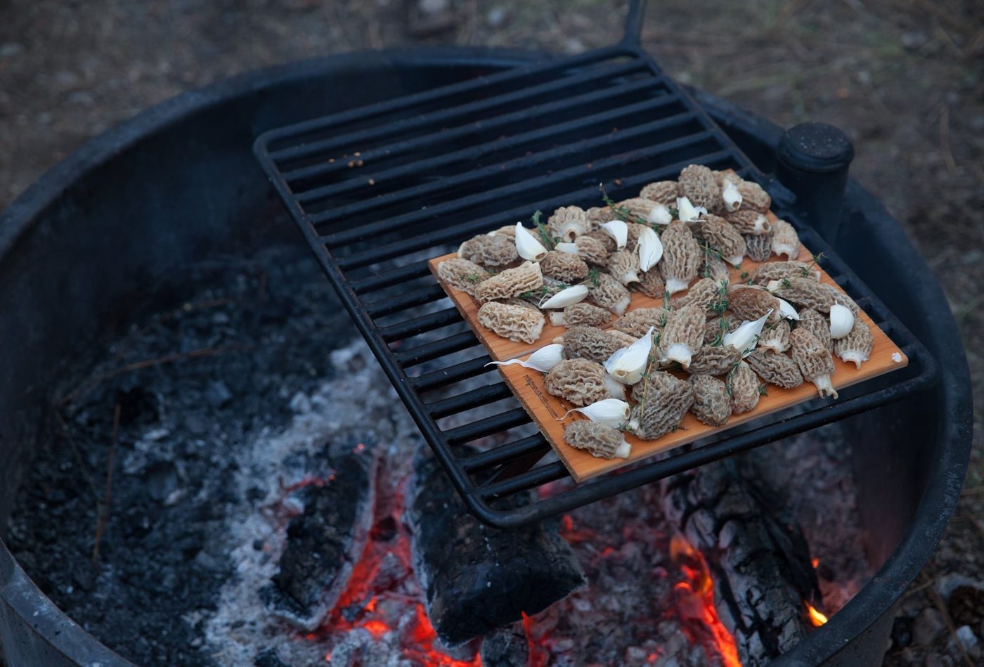 how-to-grill-morel-mushrooms