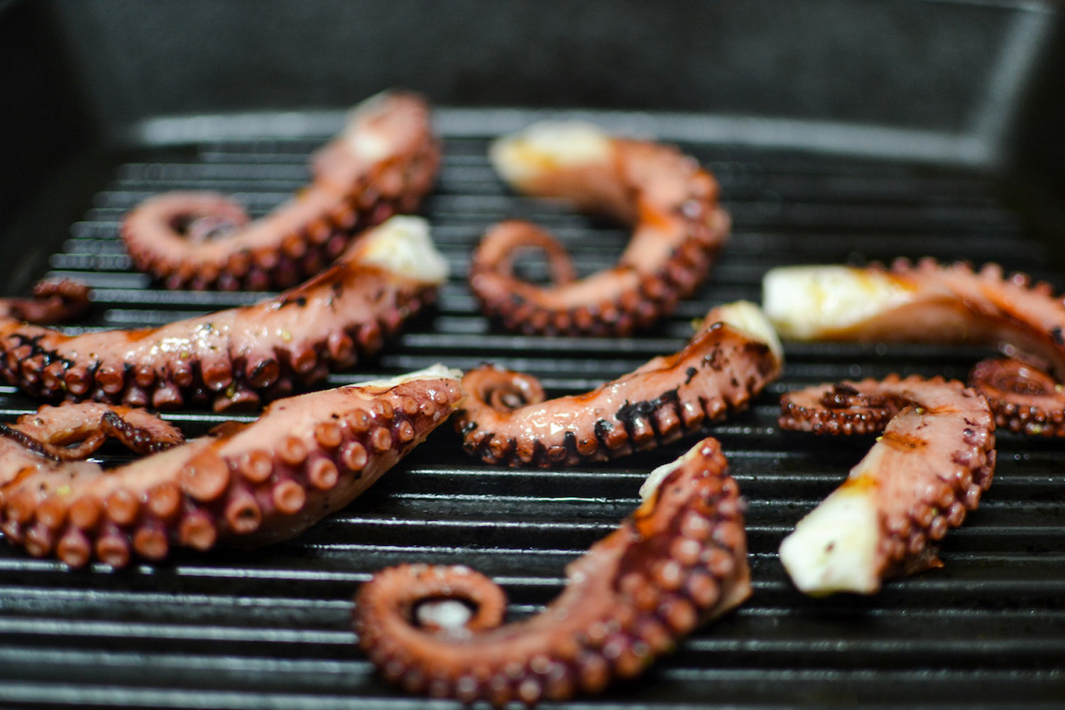 how-to-grill-octopus-on-bbq