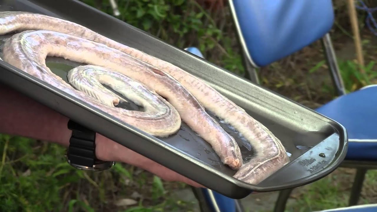 how-to-grill-rattle-snake
