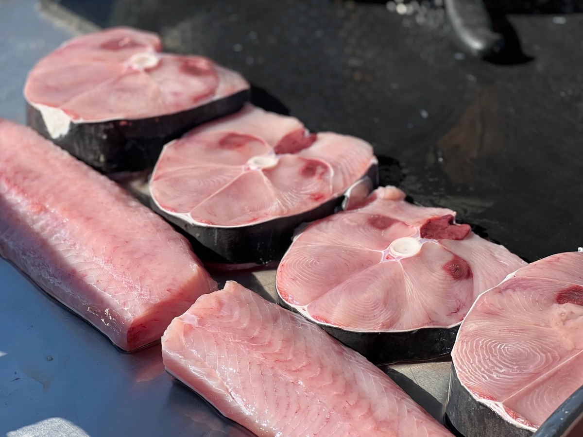 how-to-grill-shark-loin