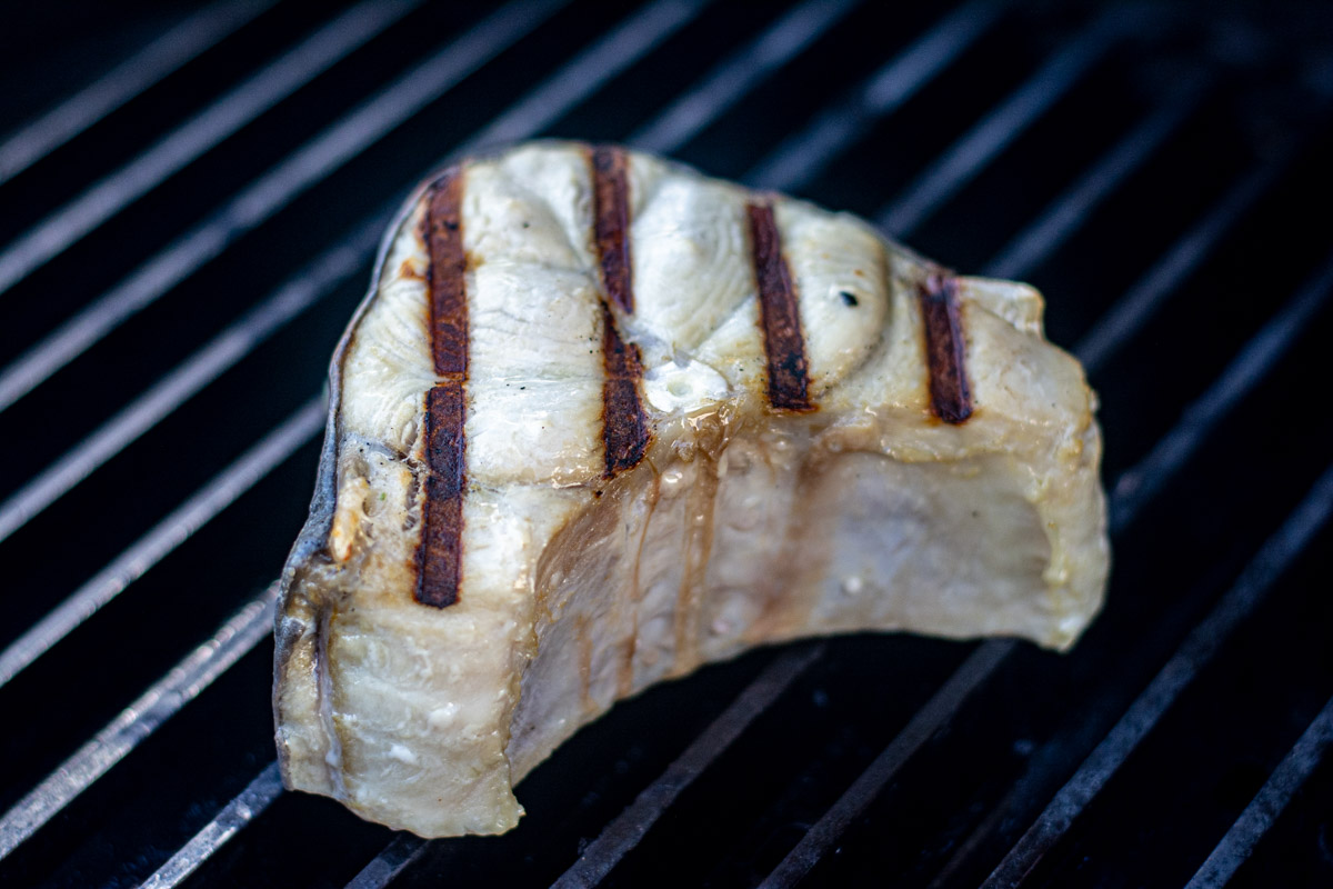 how-to-grill-shark-steaks