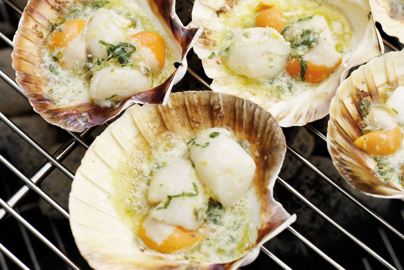 how-to-grill-the-scallops