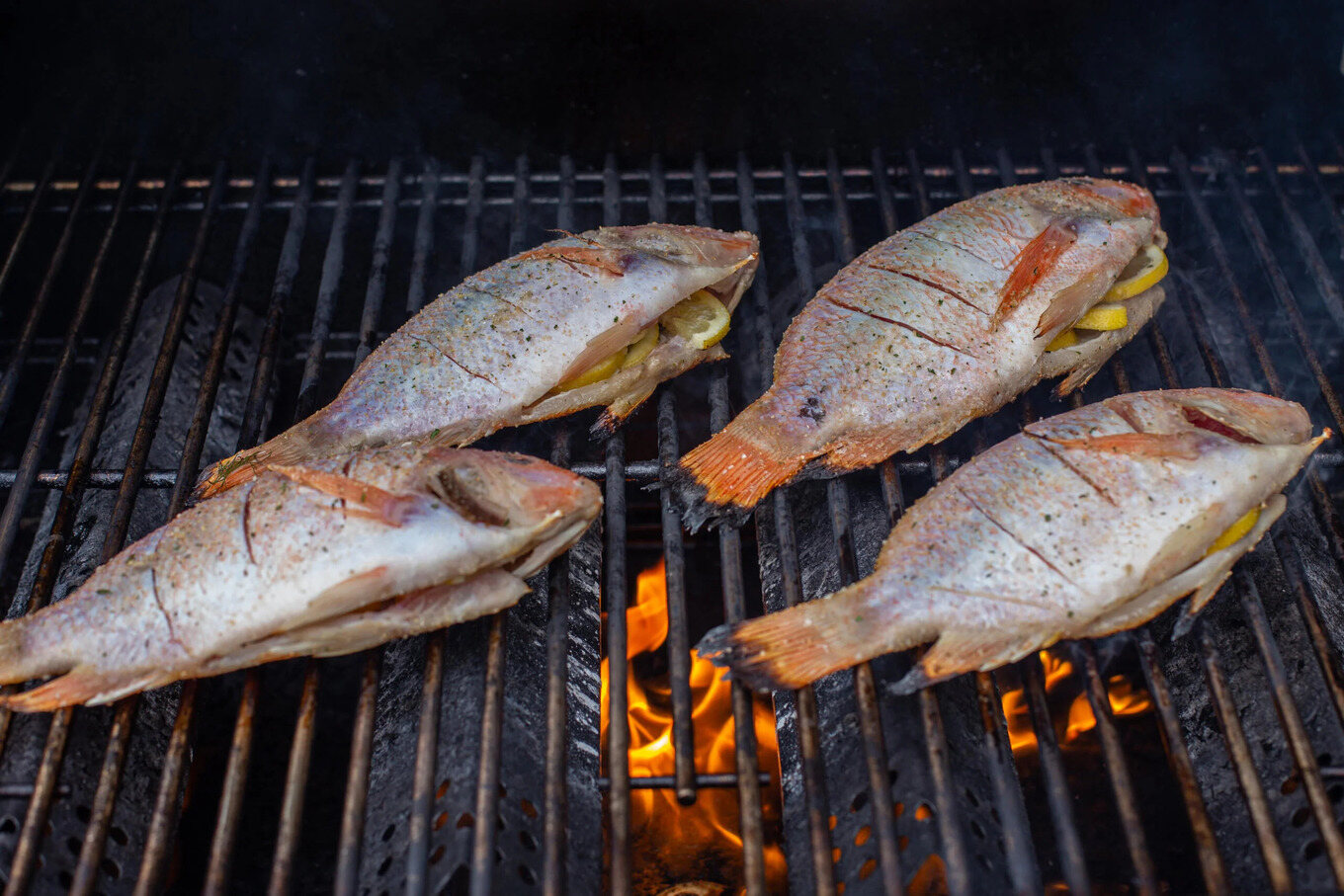 how-to-grill-tilapia-on-a-gas-grill