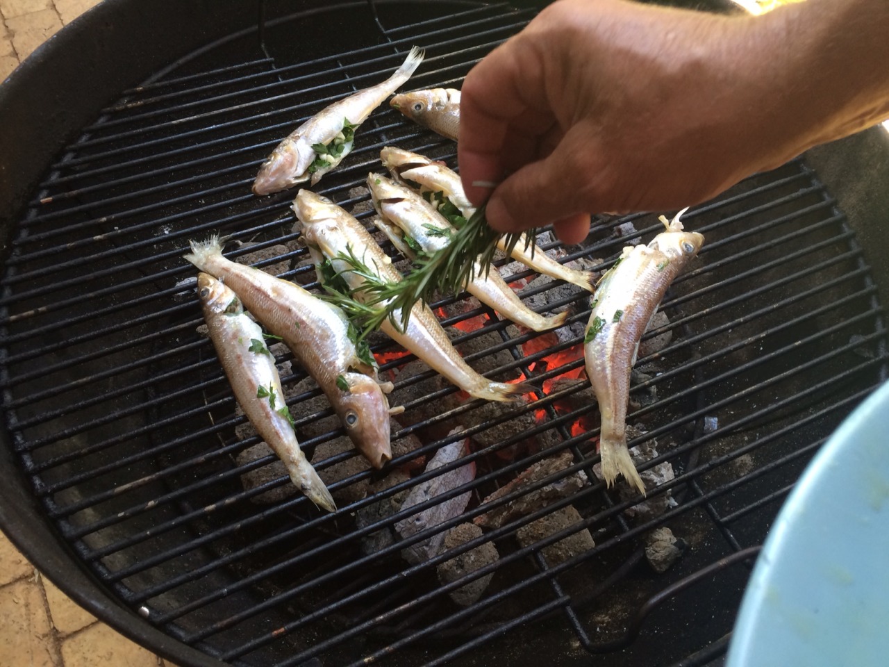how-to-grill-whiting-fish-on-grill