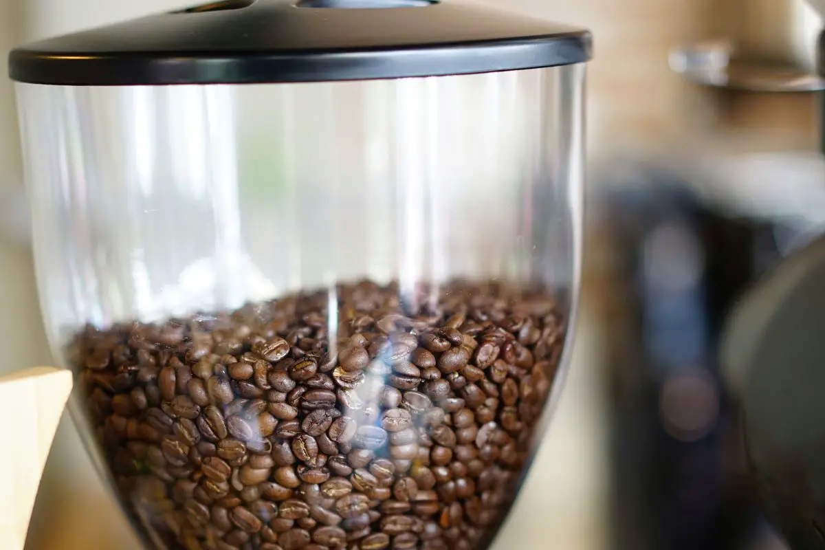 how-to-grind-coffee-beans-with-ninja