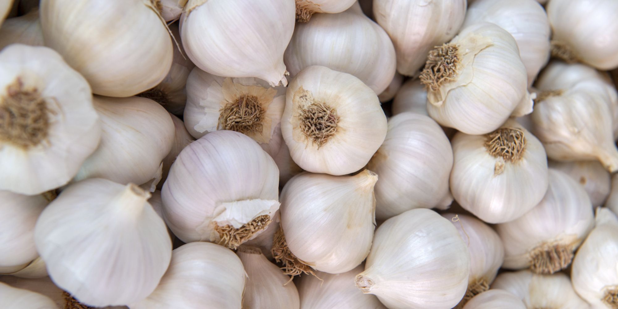 How To Grind Dry Garlic