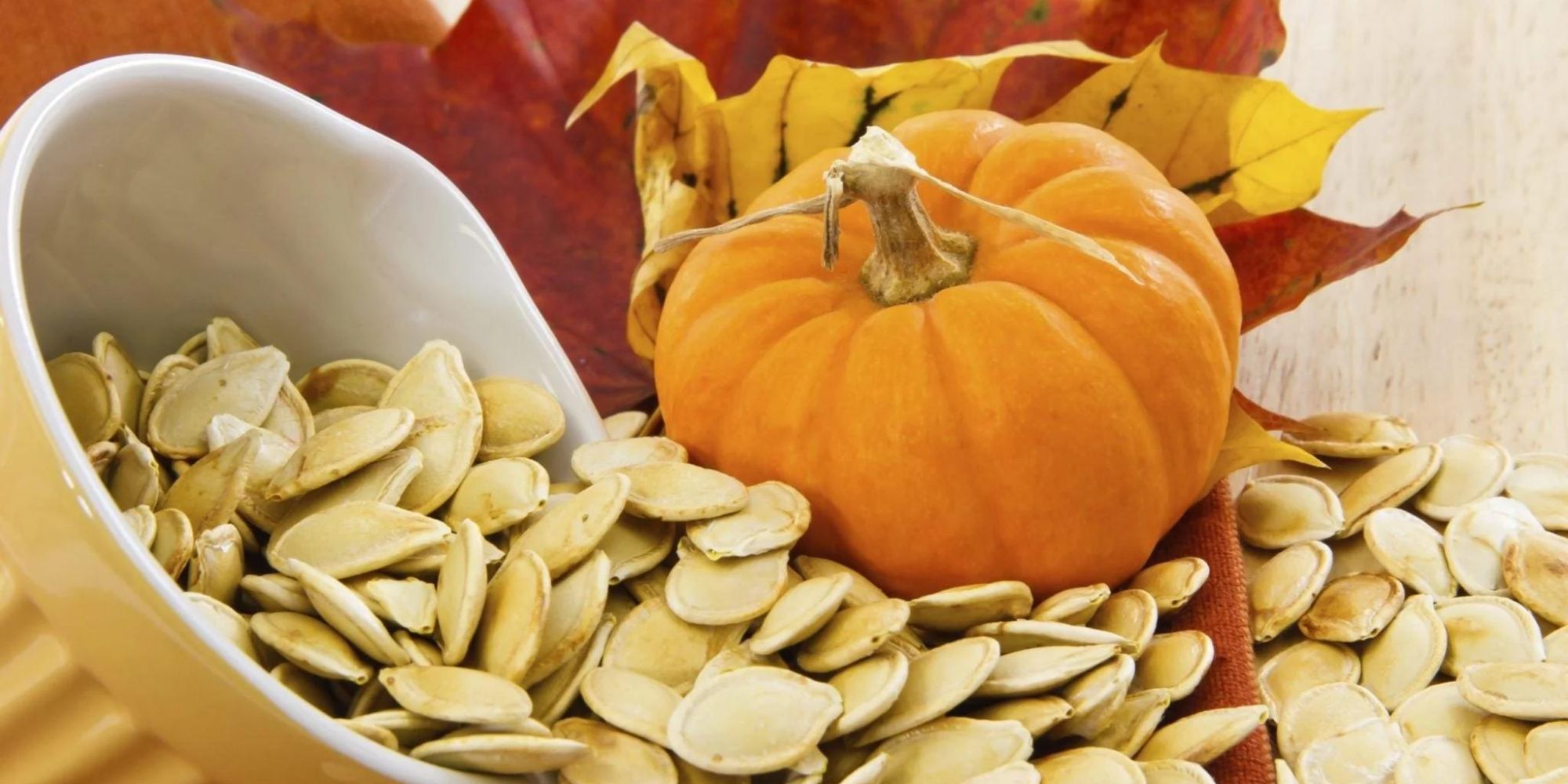 how-to-grind-large-amounts-of-pumpkin-seeds