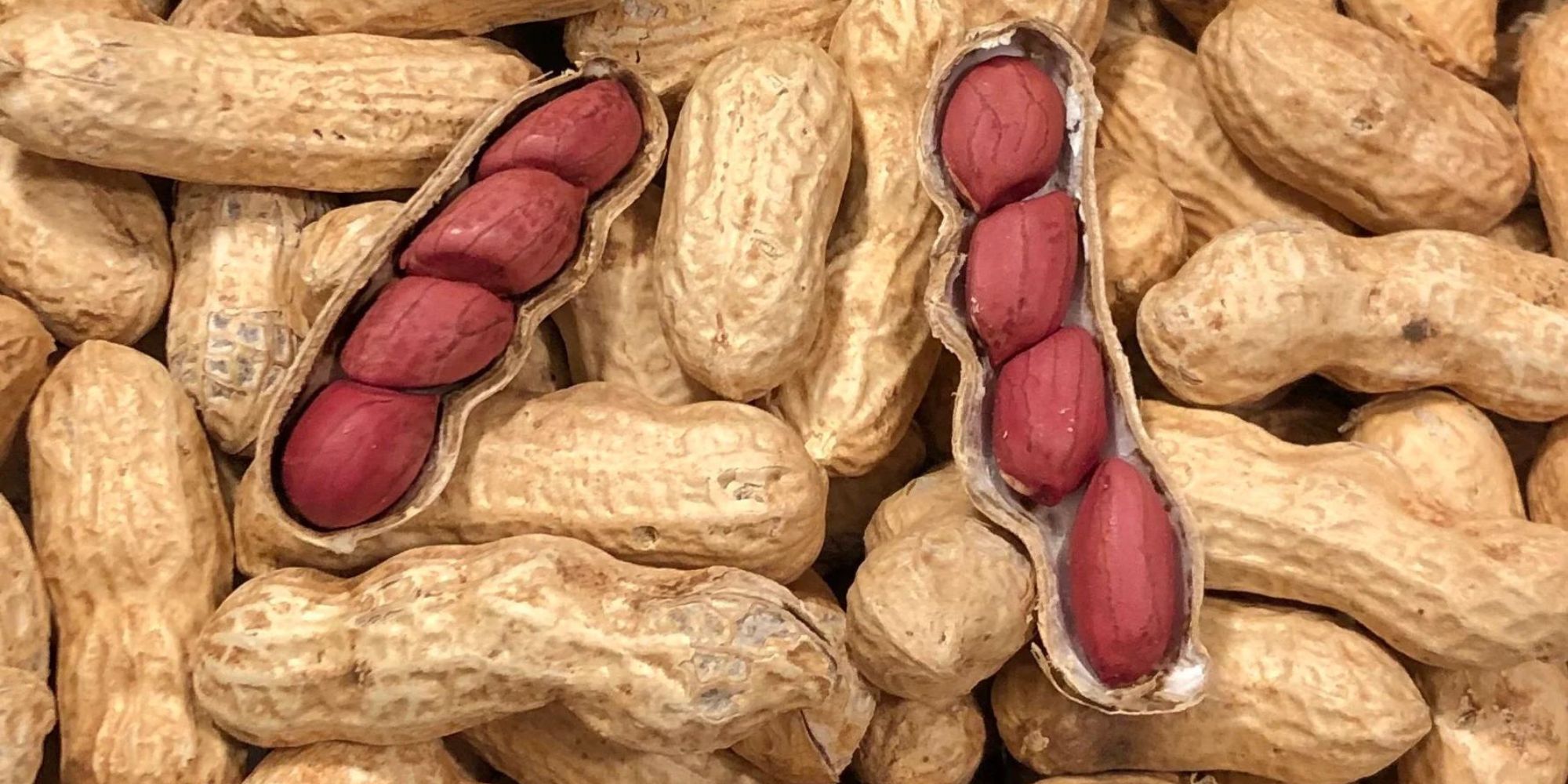 how-to-grind-peanuts-by-hand