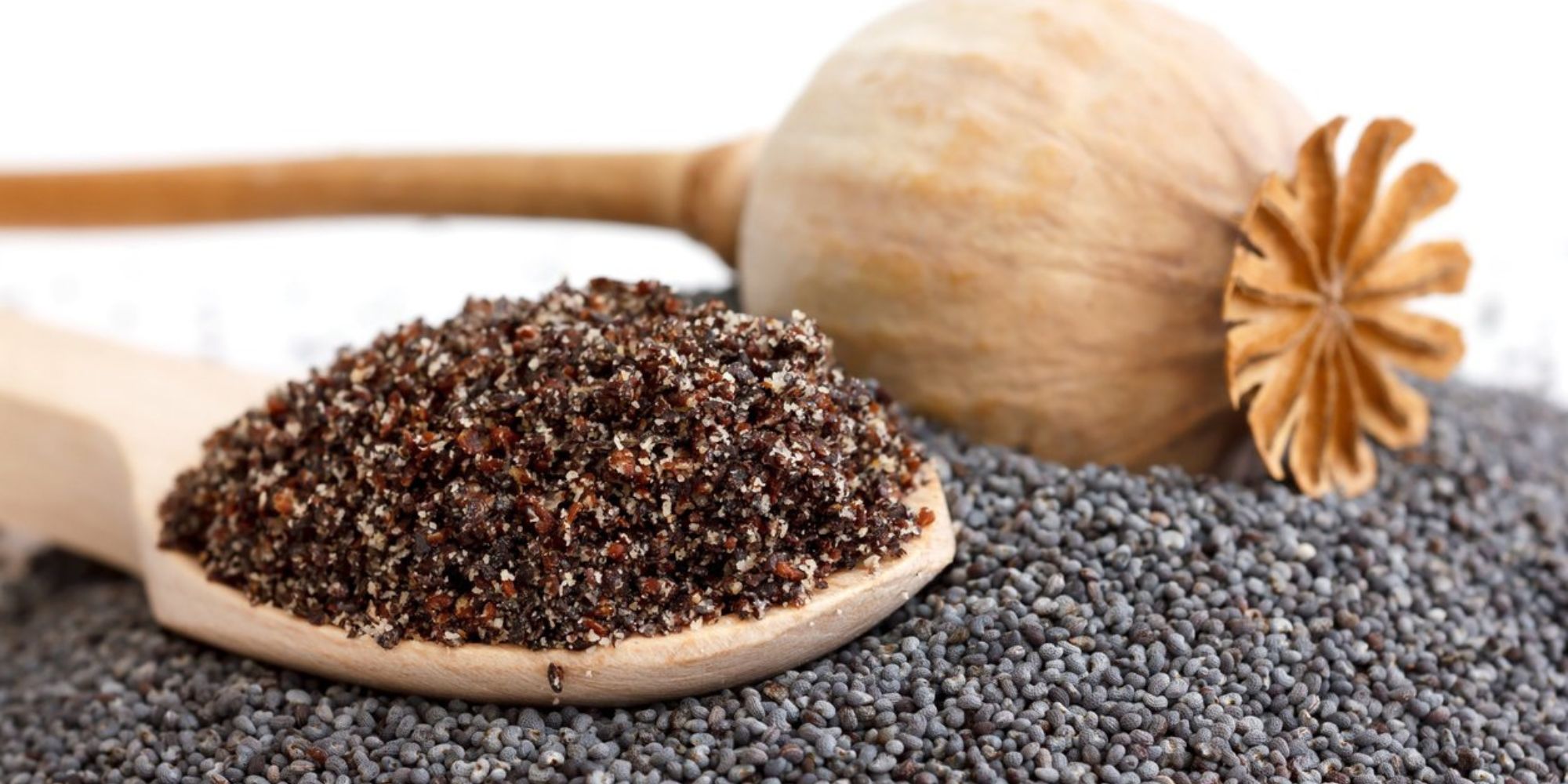 how-to-grind-poppy-seeds