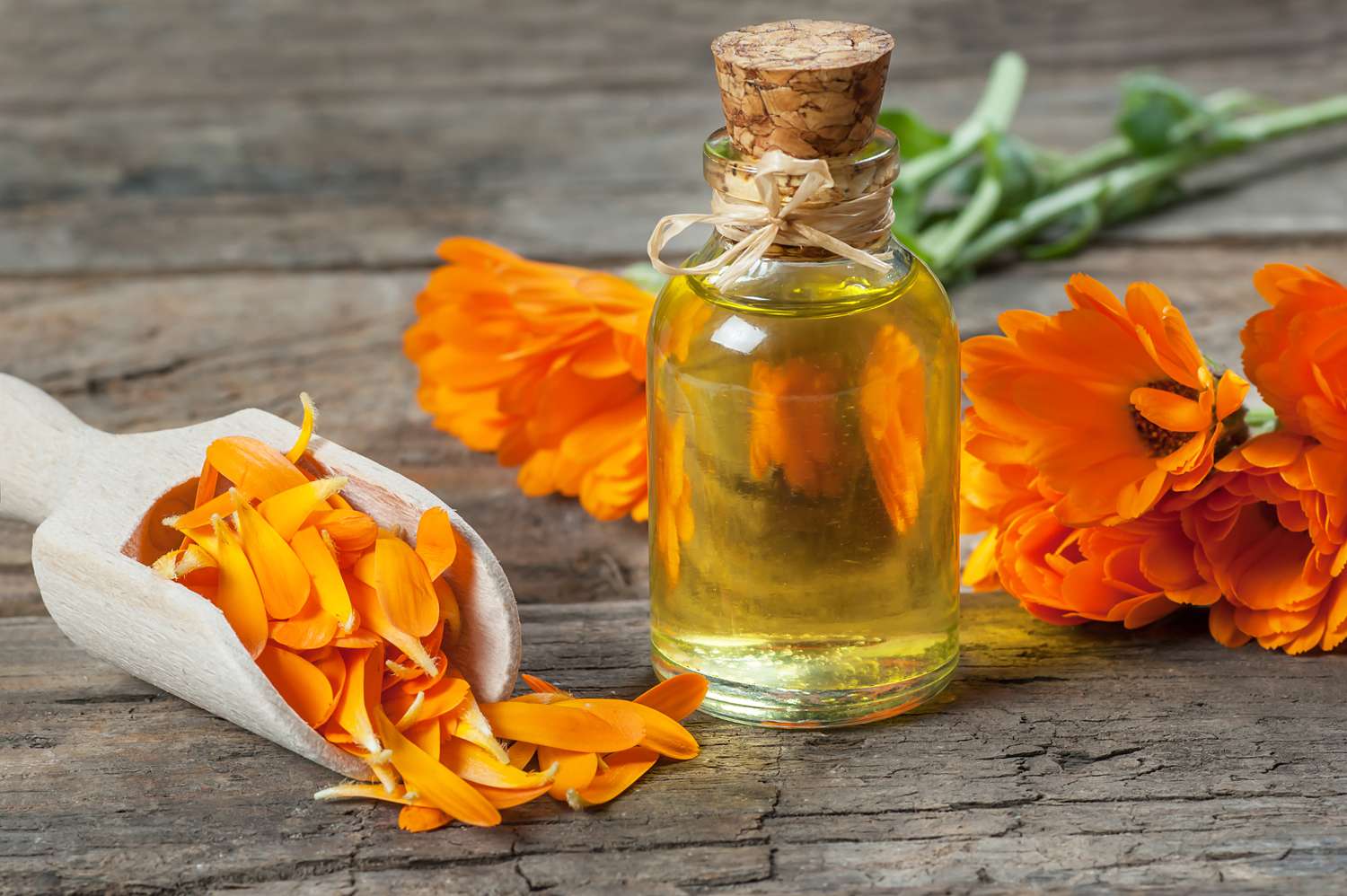 how-to-infuse-calendula-flowers-in-oil