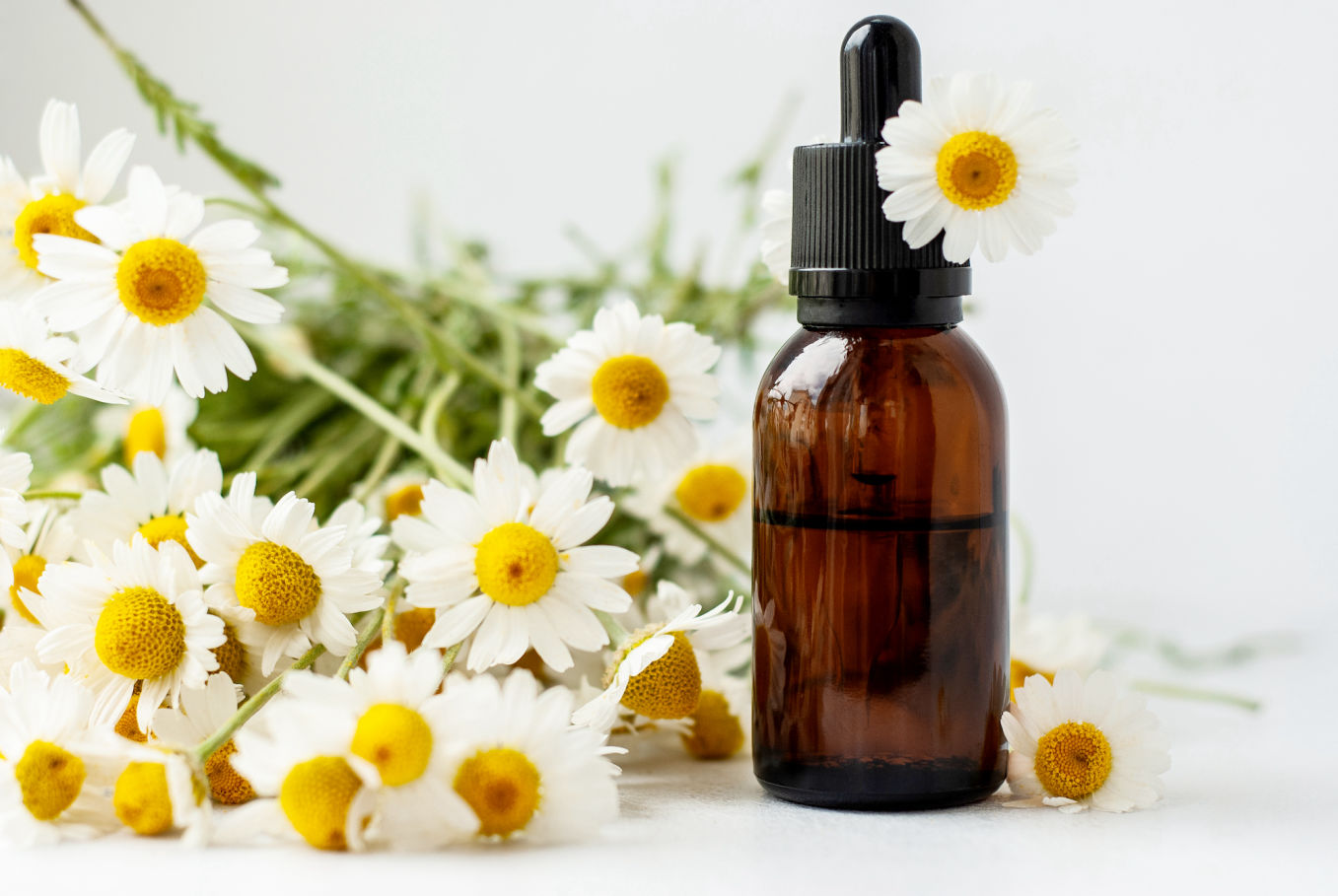 how-to-infuse-chamomile-in-oil