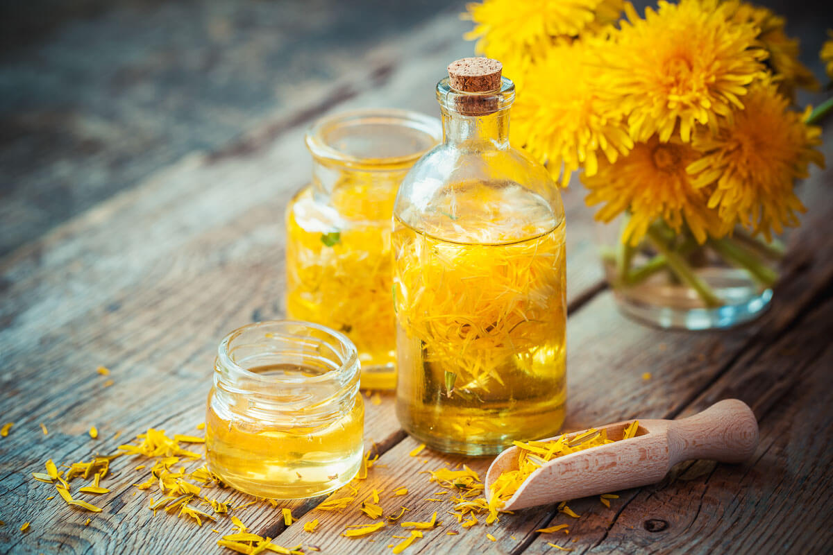 how-to-infuse-dandelions-in-oil