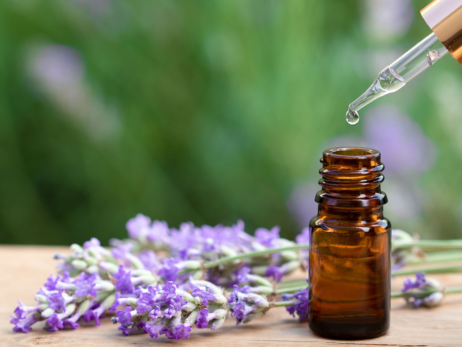 how-to-infuse-dried-lavender-in-oil