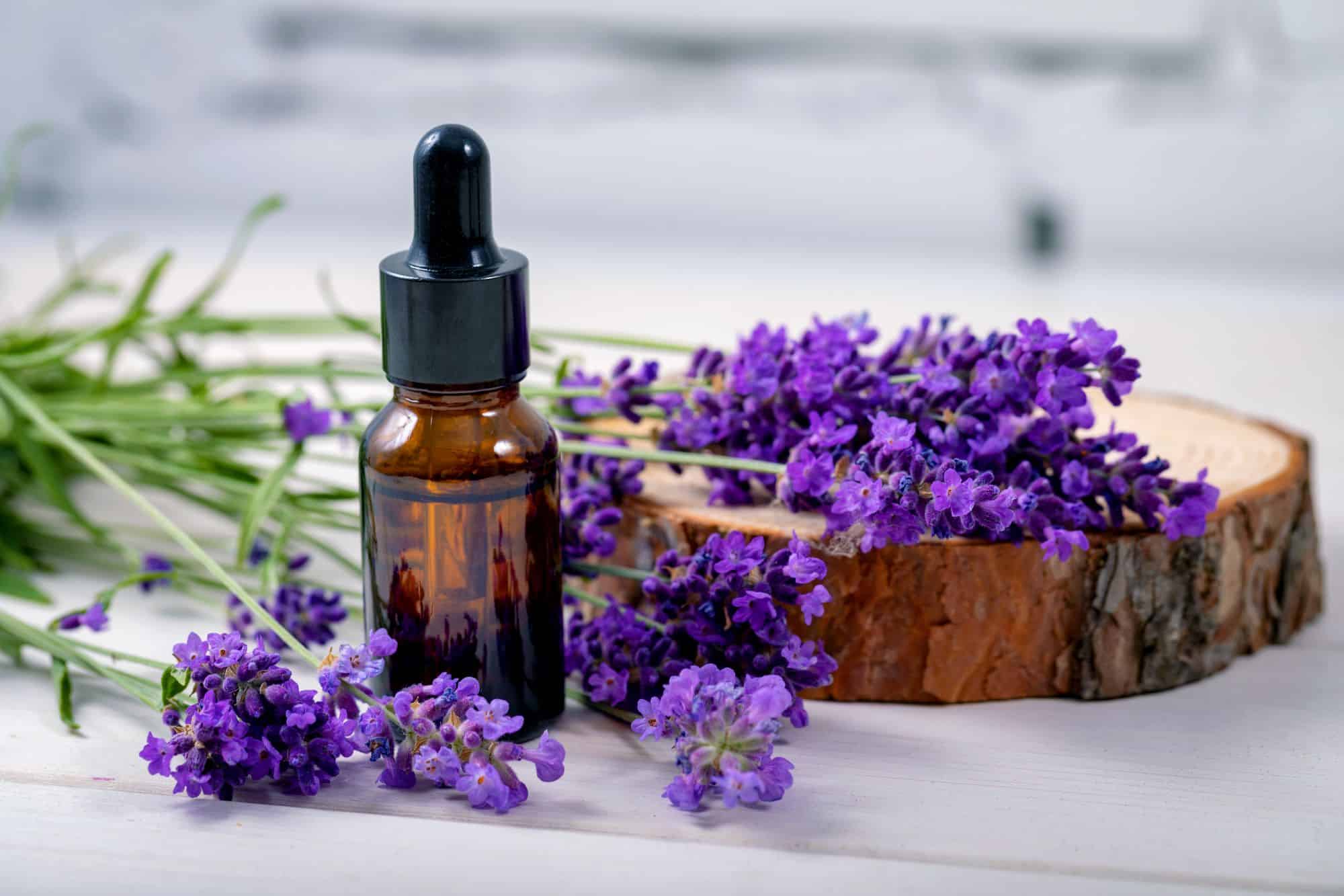 how-to-infuse-lavender-into-oil