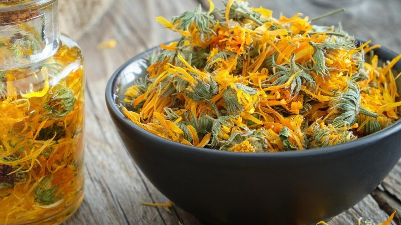 how-to-infuse-oil-with-calendula