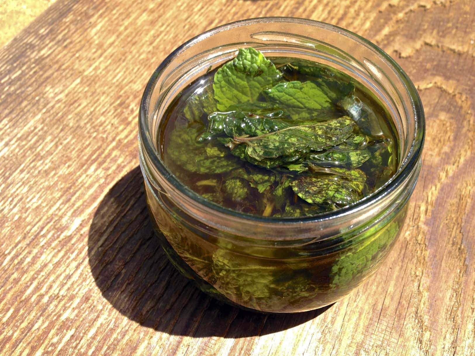 how-to-infuse-peppermint-leaves