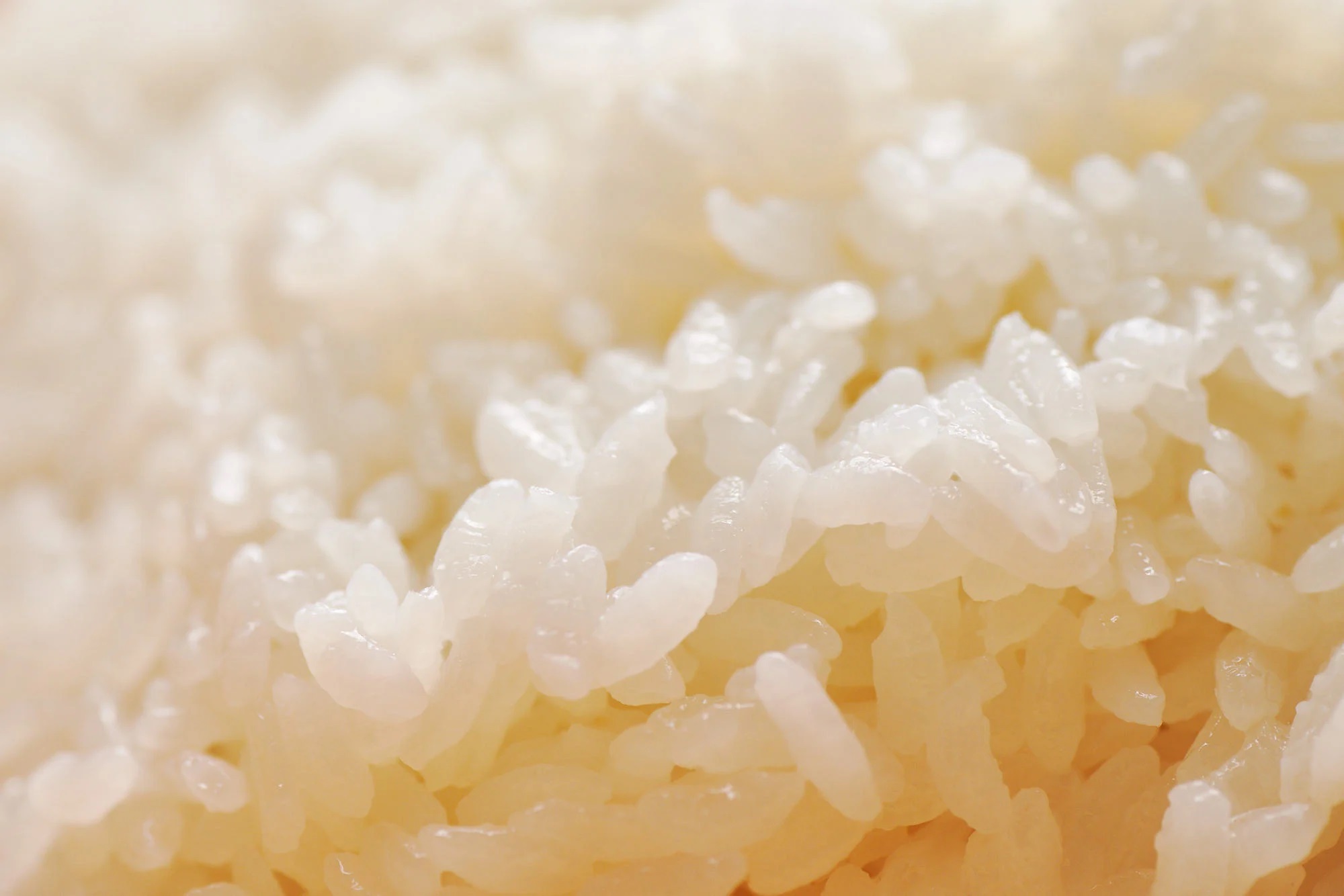 how-to-make-sushi-rice-with-jasmine