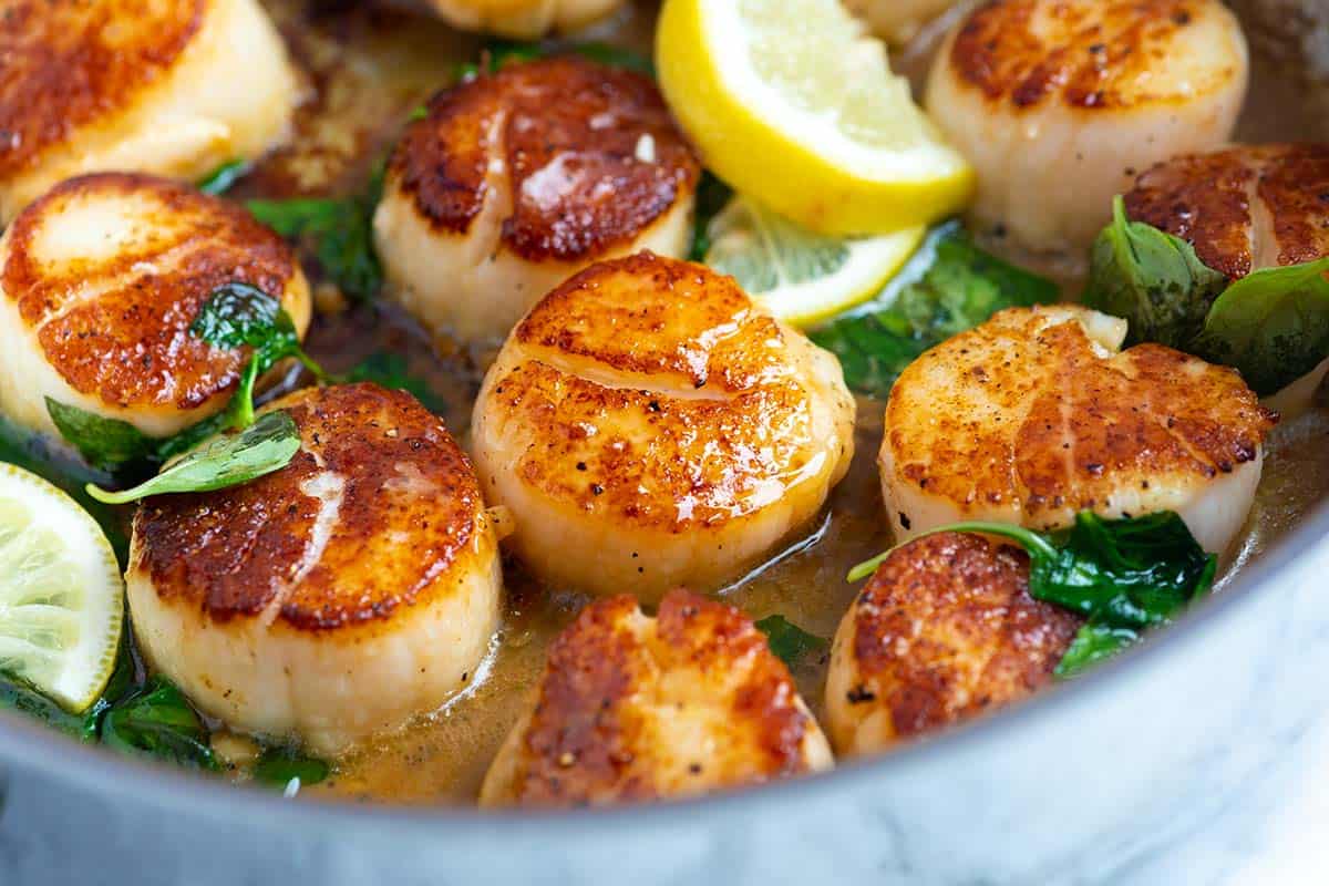 how-to-marinate-scallops-for-searing