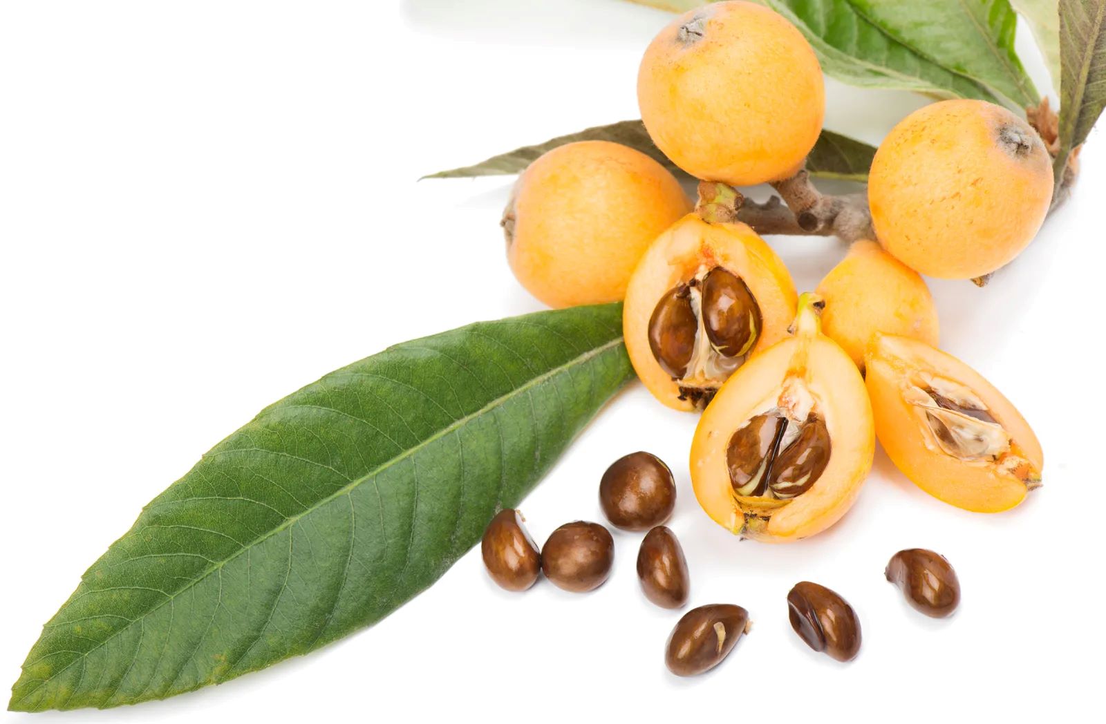 how-to-mince-loquat