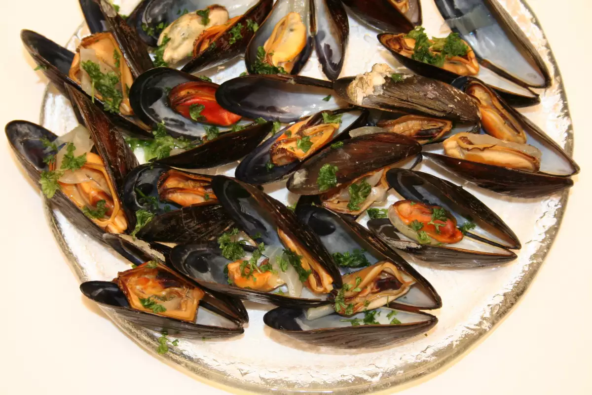 how-to-pan-fry-mussels