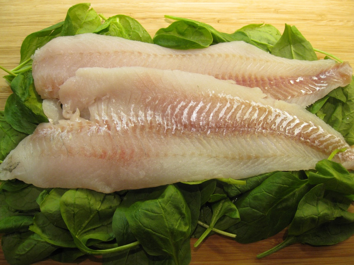 how-to-pan-fry-pickerel-fillets