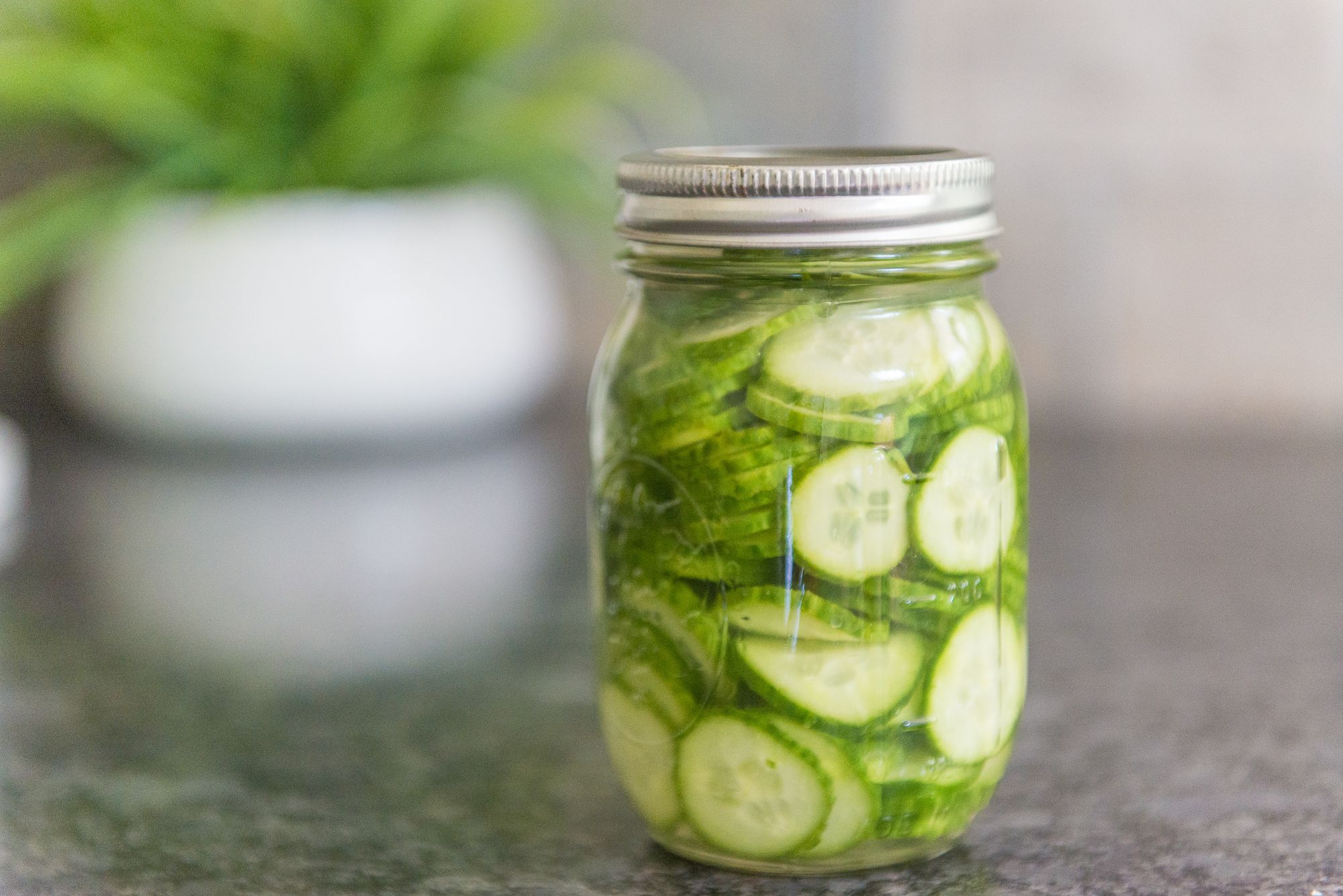 how-to-pickle-a-giant-cucumber