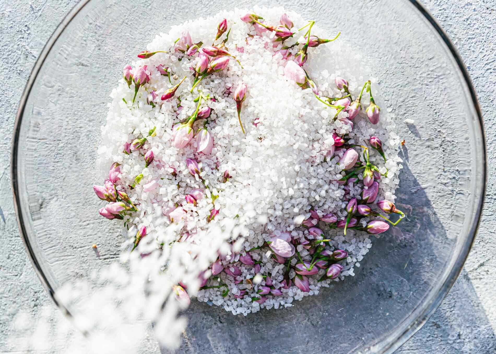 how-to-pickle-cherry-blossoms