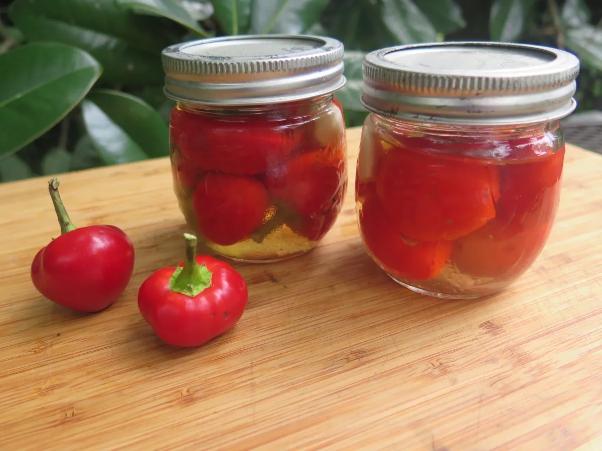 how-to-pickle-cherry-peppers-recipe