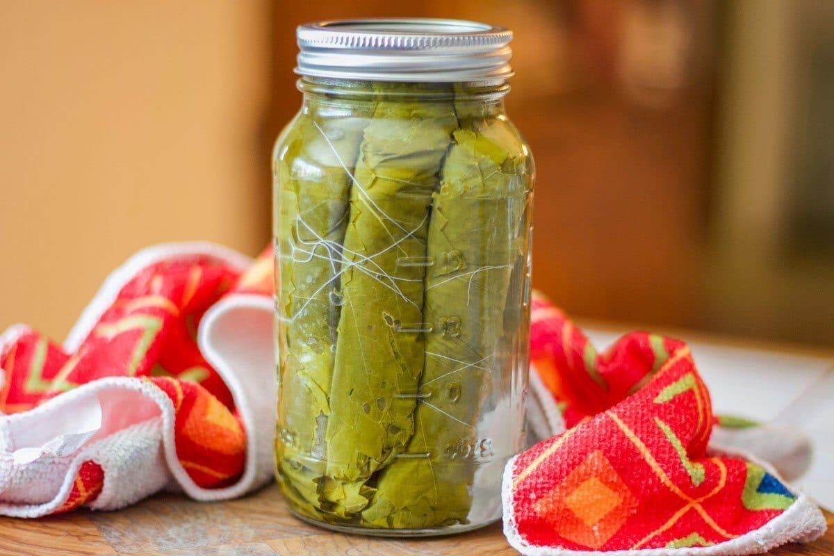 how-to-pickle-grape-vine-leaves