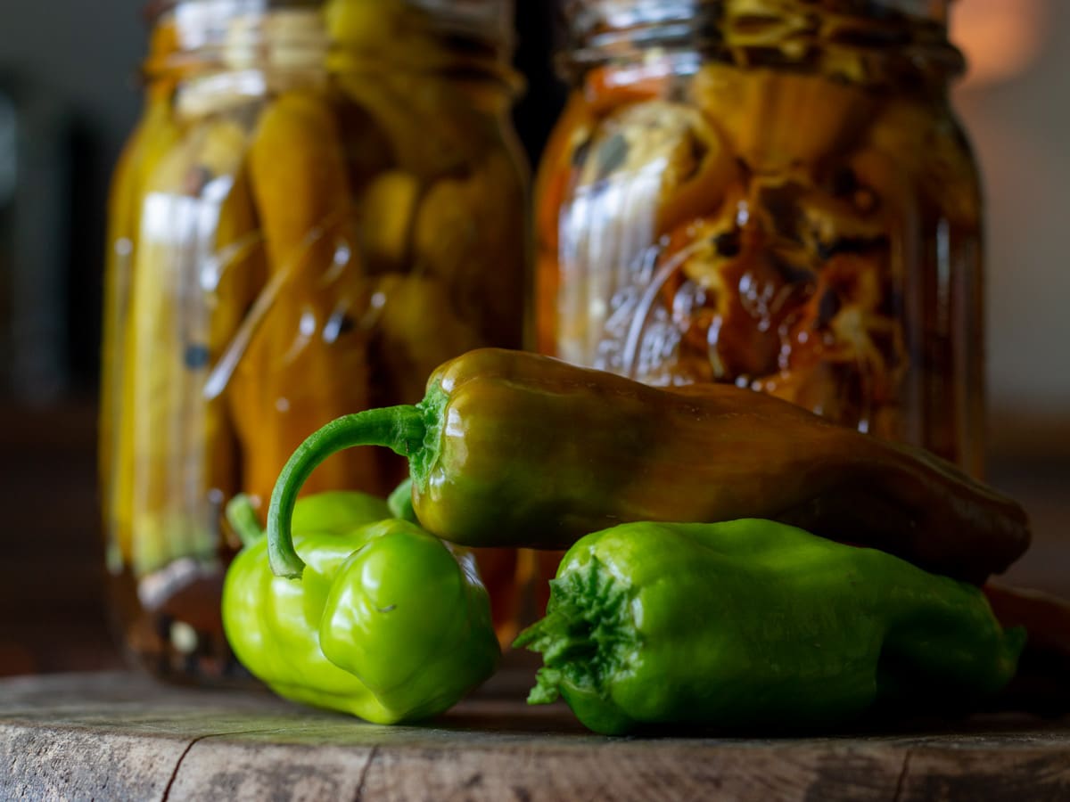 how-to-pickle-pepperocini
