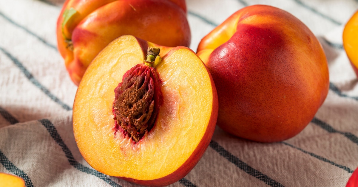 how-to-pit-a-nectarine