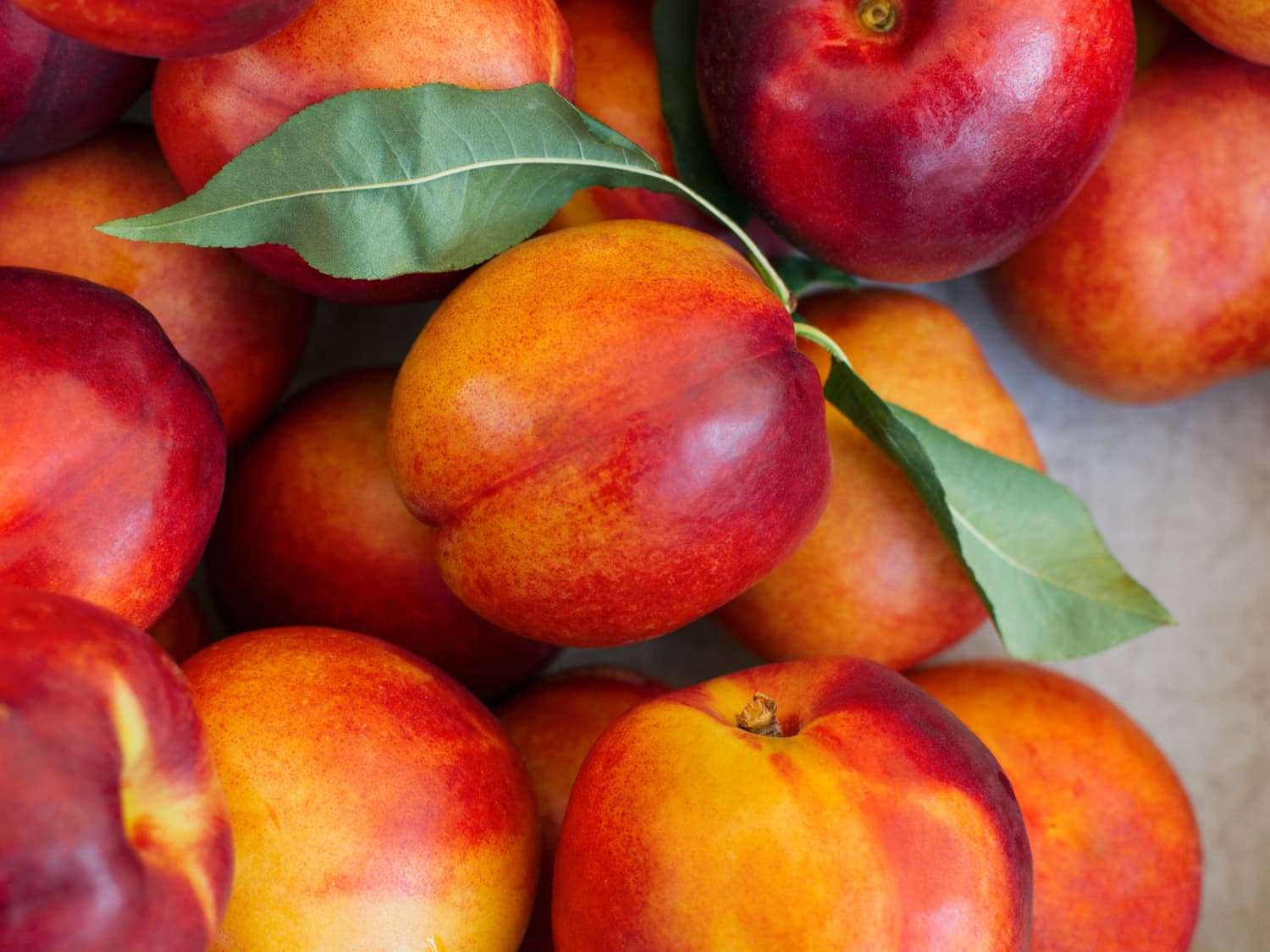 how-to-properly-eat-a-nectarine