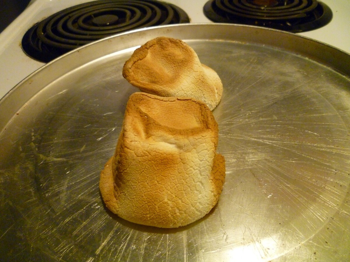 how-to-roast-a-marshmallow-inside-with-no-gas-stove