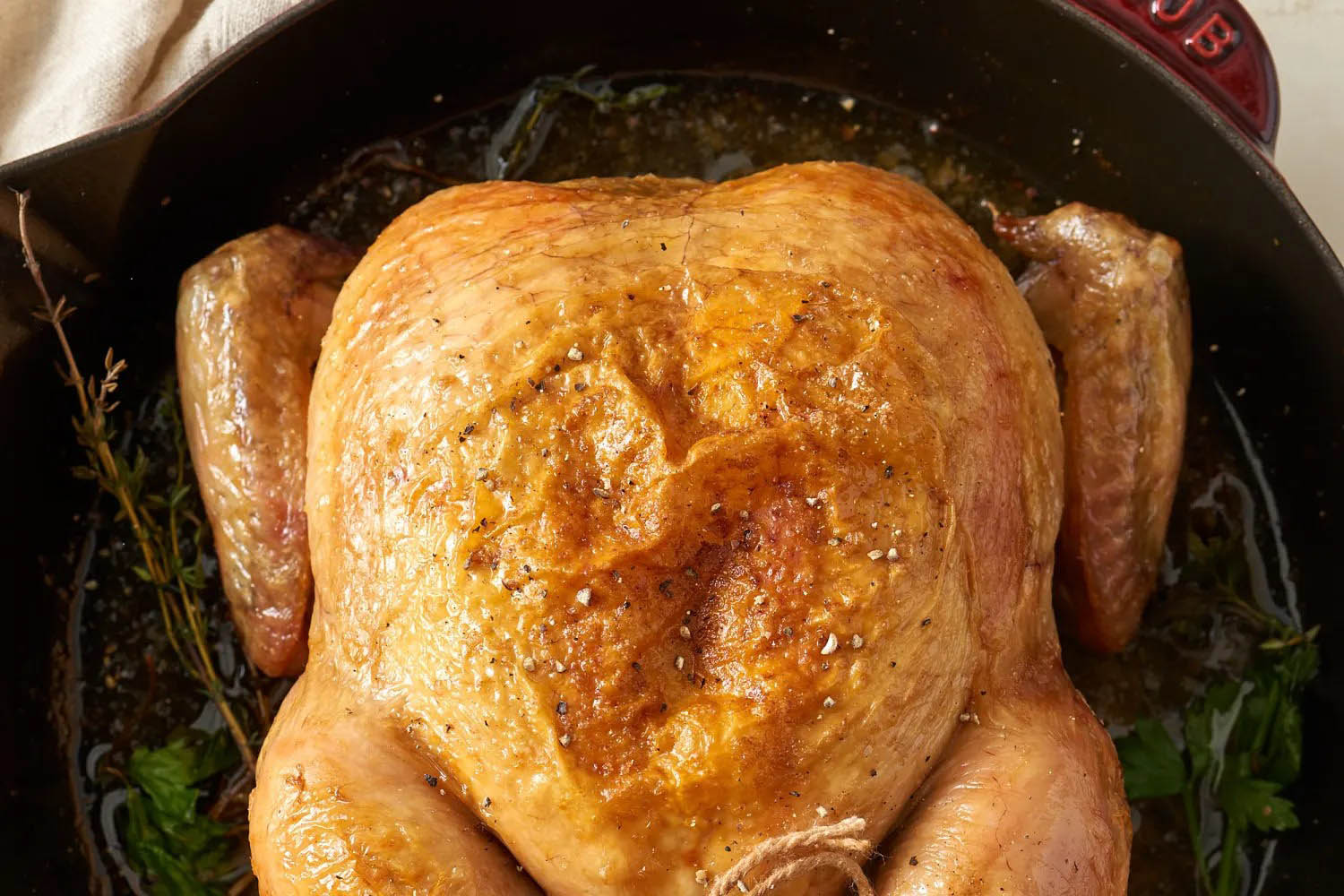 How To Roast A Whole Chicken In Roaster - Recipes.net