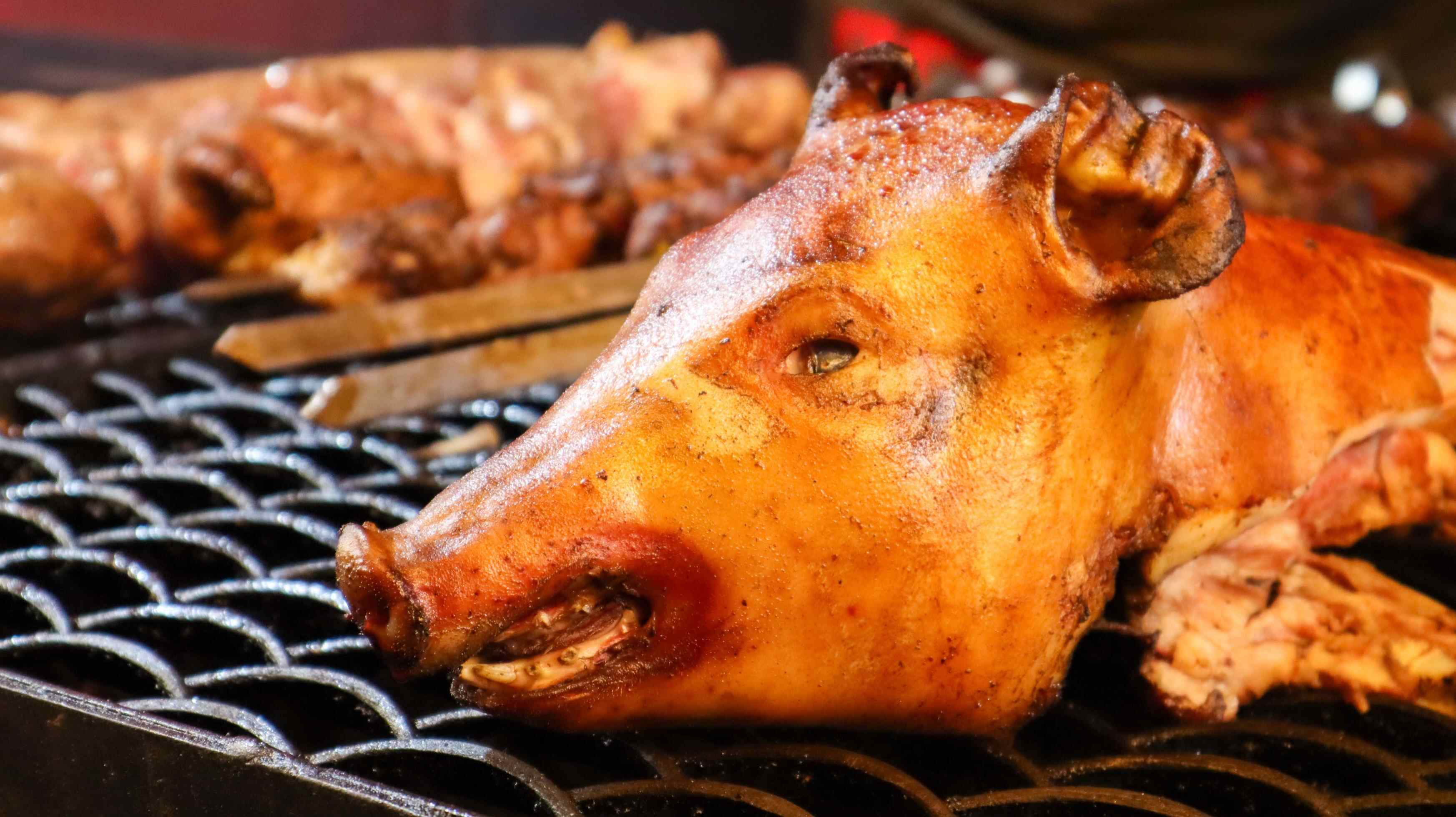 how-to-roast-a-whole-hogs-head