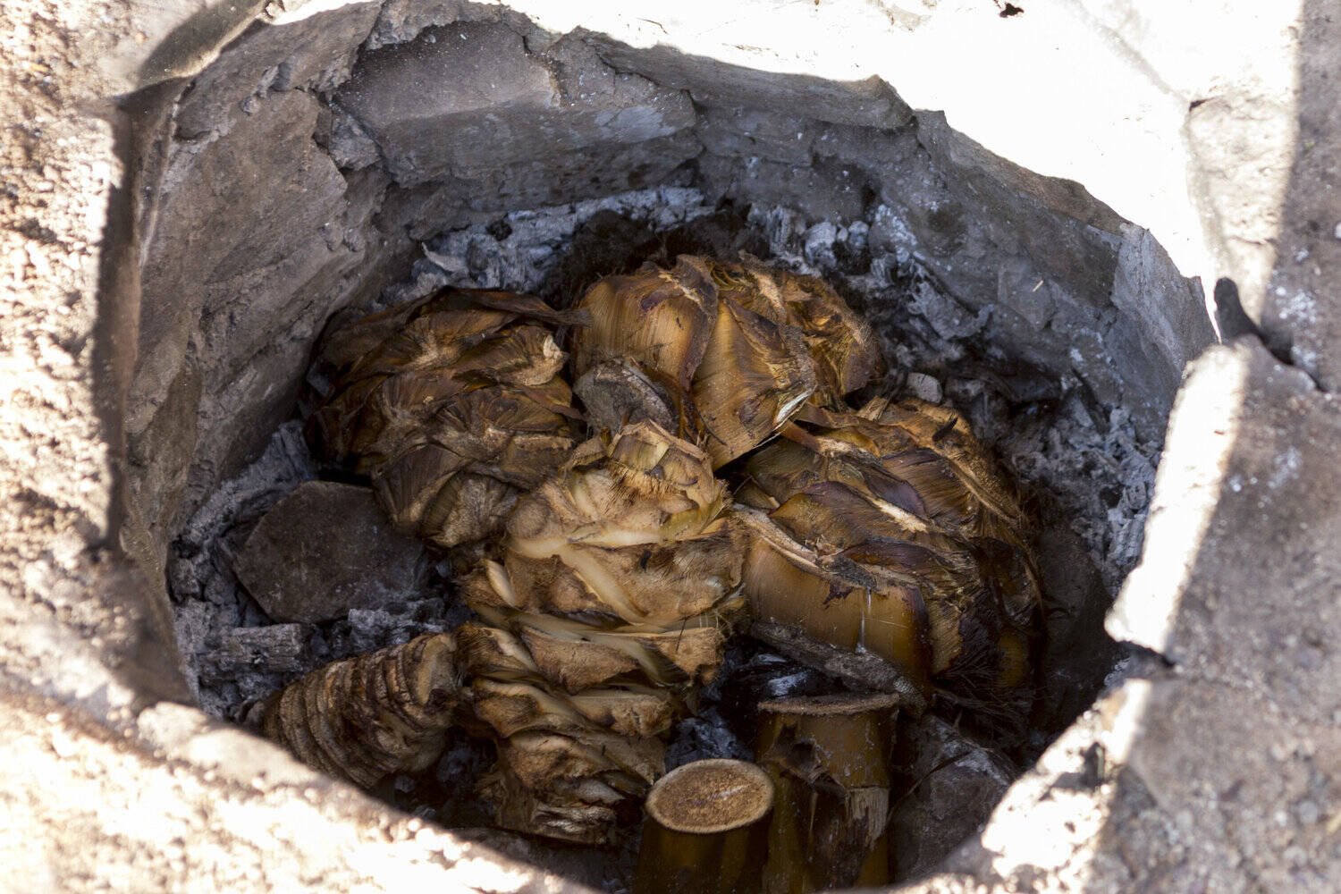 how-to-roast-agave-leaves