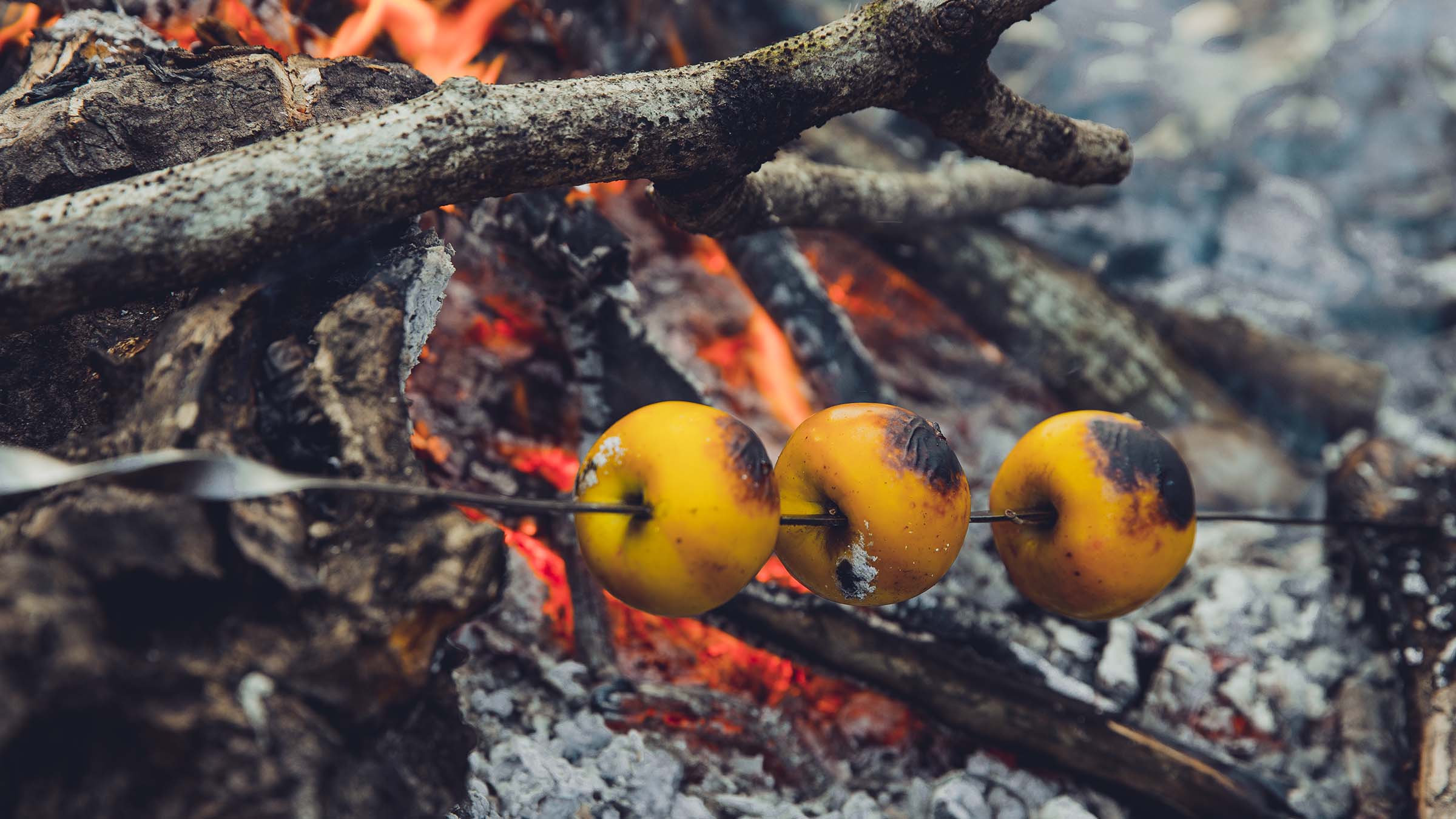 how-to-roast-apples-on-a-fire