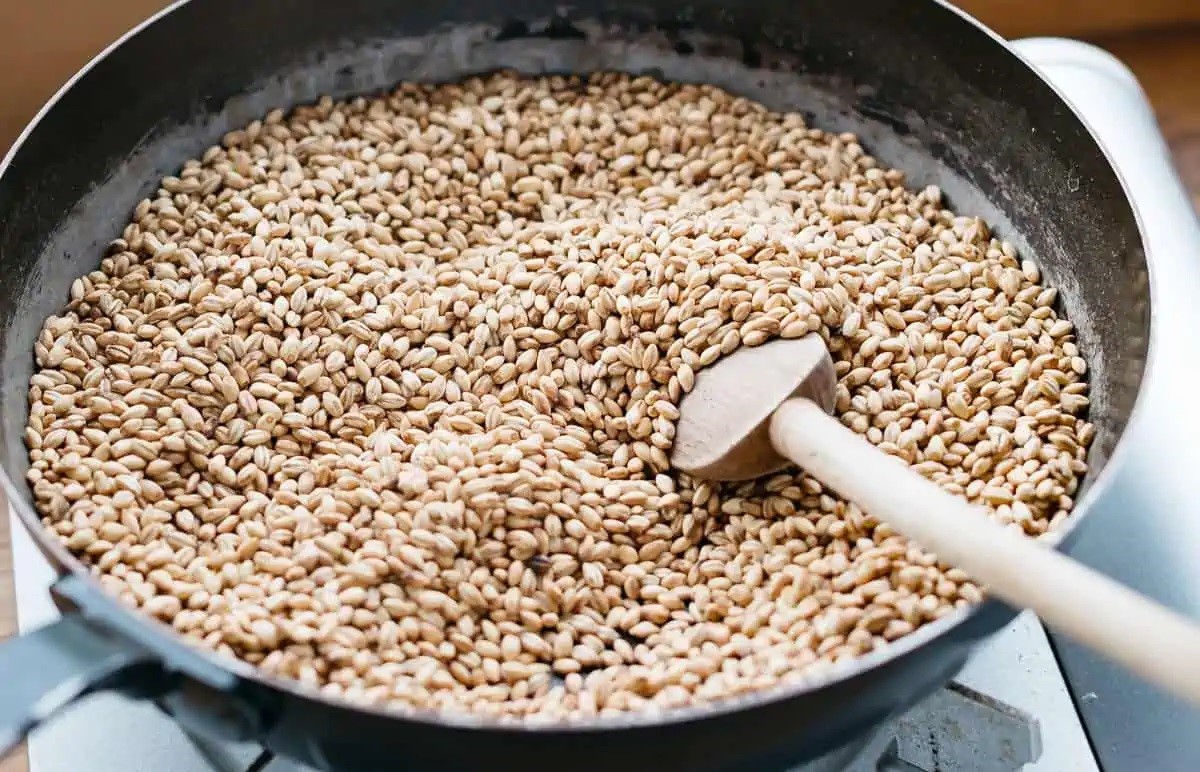 how-to-roast-barley-seed
