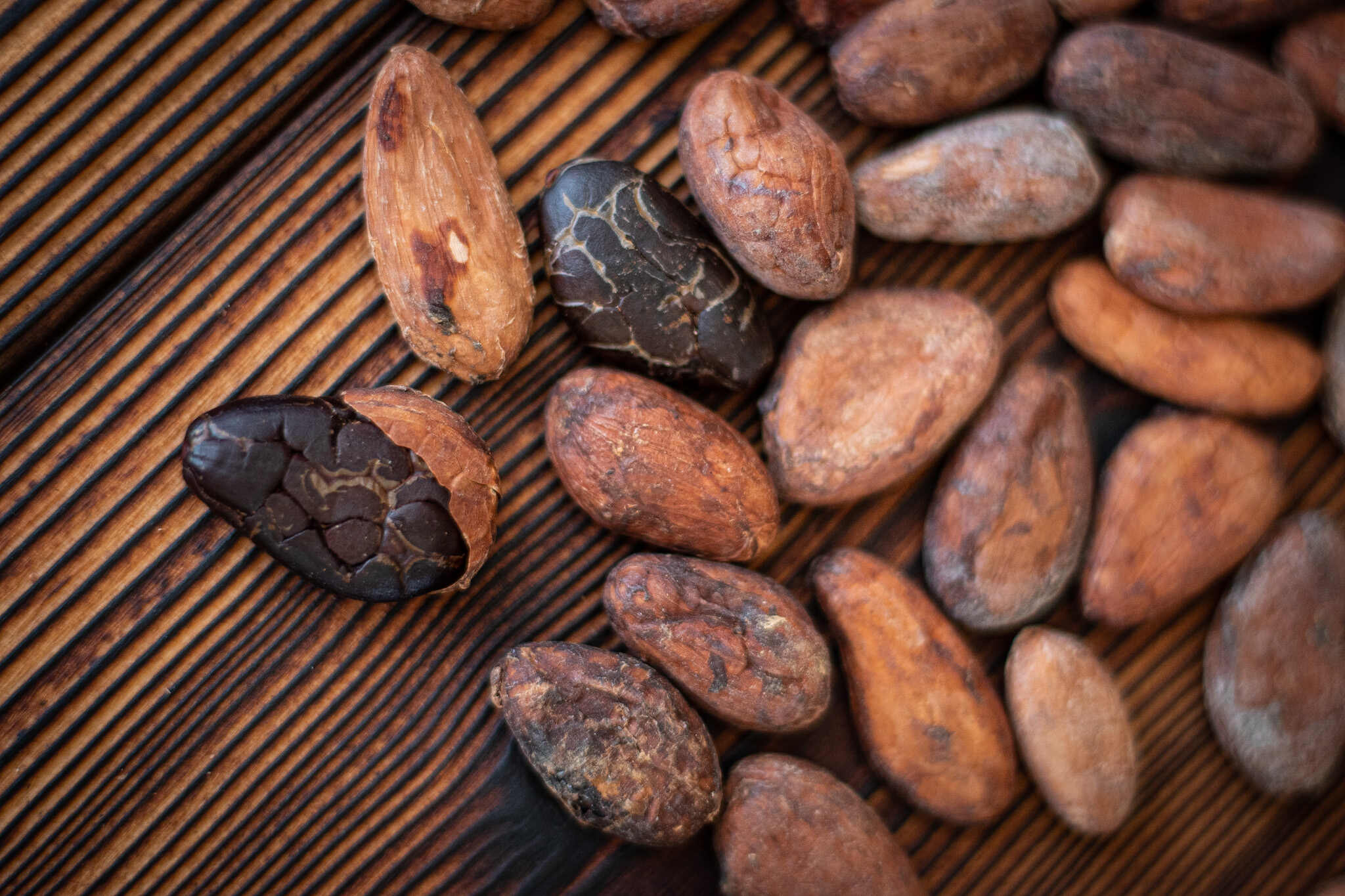 how-to-roast-cocoa-beans-in-oven