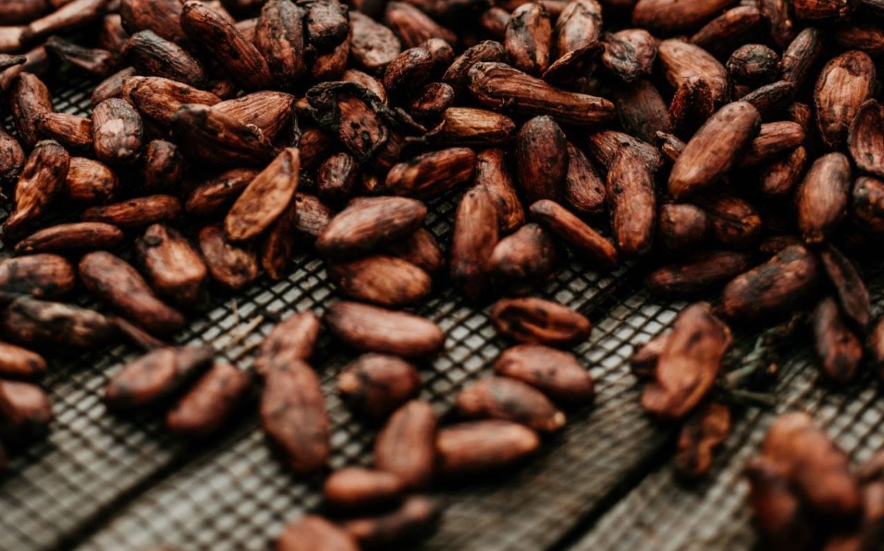 How To Roast Cocoa Beans To Make Nibs Recipes Net