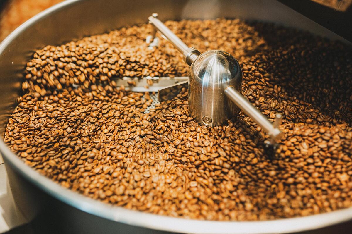 How to Tell if Coffee Beans Are Stale - Timbertrain Coffee Roasters