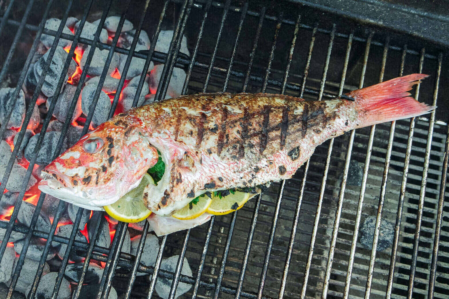 how-to-roast-fish-on-a-grill