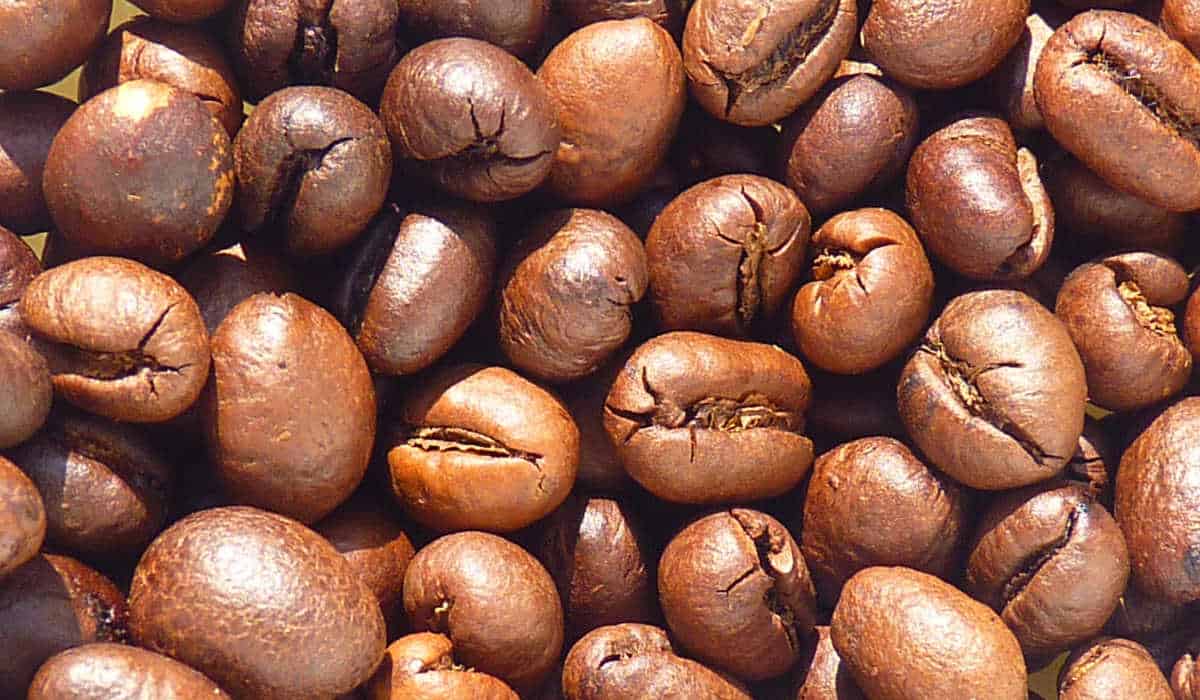 how-to-roast-peaberry-coffee