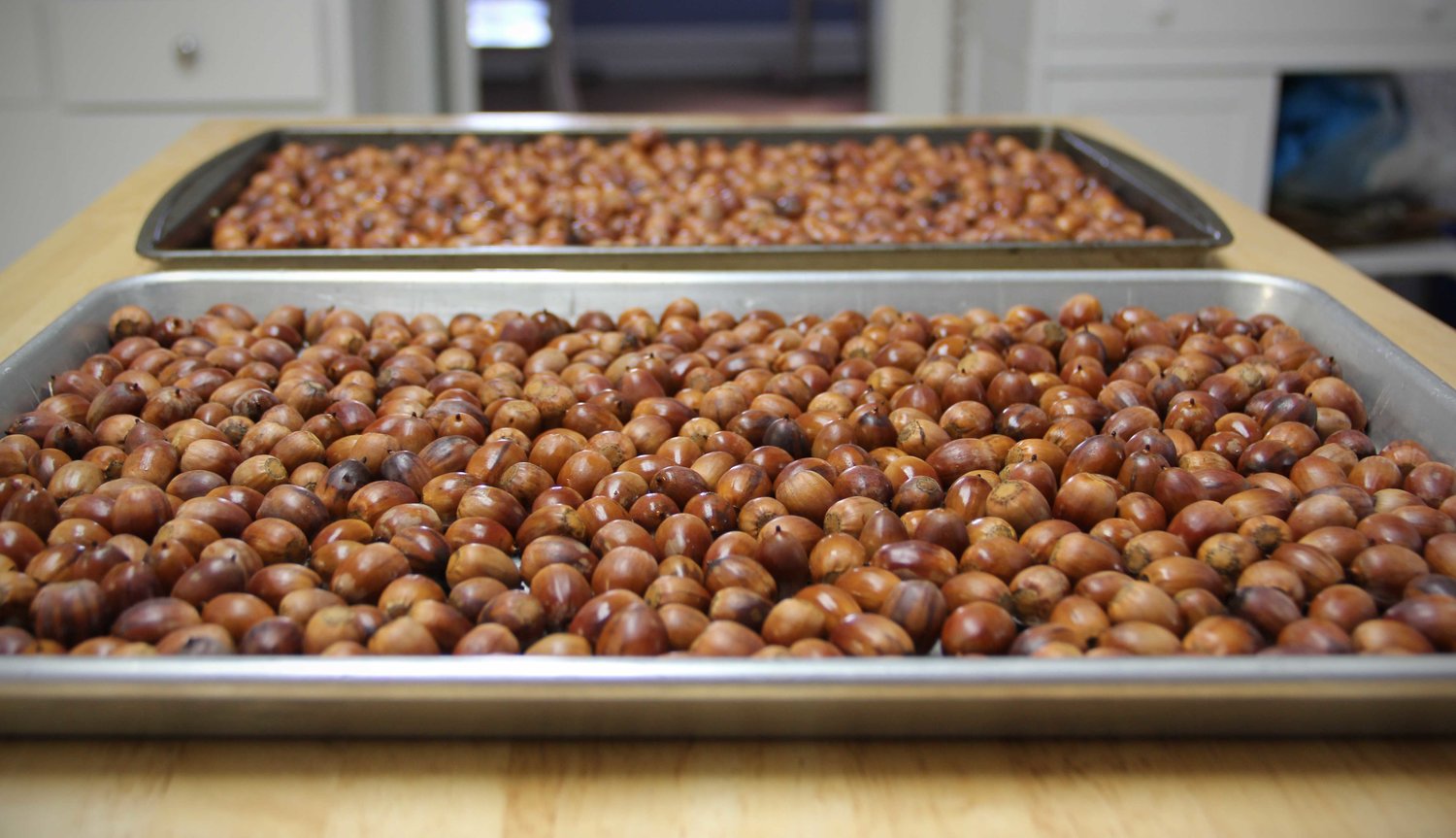 how-to-roast-post-oak-acorns