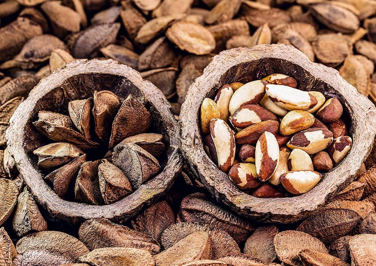 how-to-roast-raw-brazil-nuts