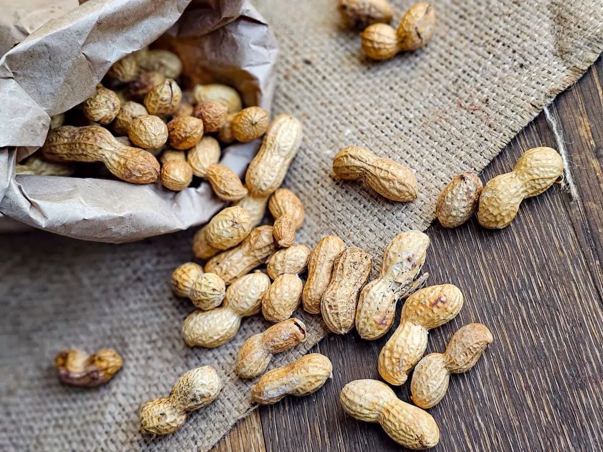 how-to-roast-raw-peanuts-in-shell-in-the-oven
